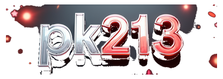 pk213 logo